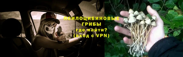 дурь Абдулино