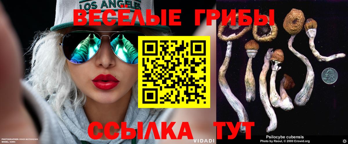 Галлюциногенные грибы мицелий  Галлюциногенные грибы Magic Shrooms  Троицк  Вход с VPN 