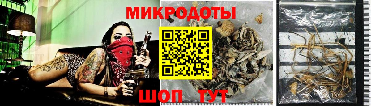 Галлюциногенные грибы Psilocybe Троицк